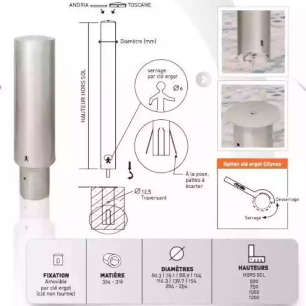  Hauteur 750 Diamètre 219,1 Borne inox 316L AMOVIBLE par clé Ergot Tete bombée