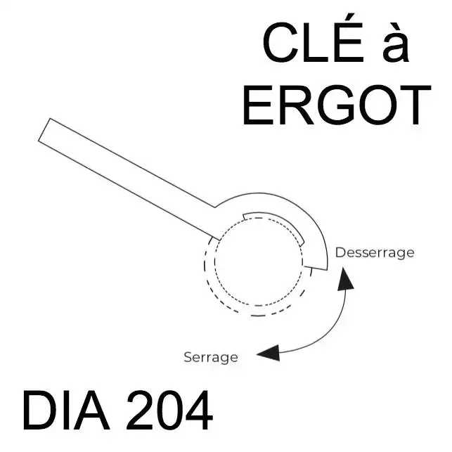 Clé Ergot Dia 204 pour Borne Amovible 