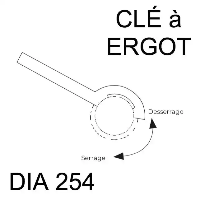 Clé Ergot Dia 254 pour Borne Amovible 