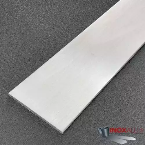 FER PLAT 60X5MM 2M